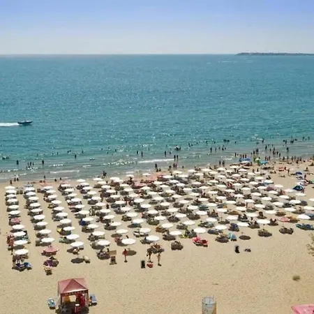 Sunny Dreams Slantchev Briag
